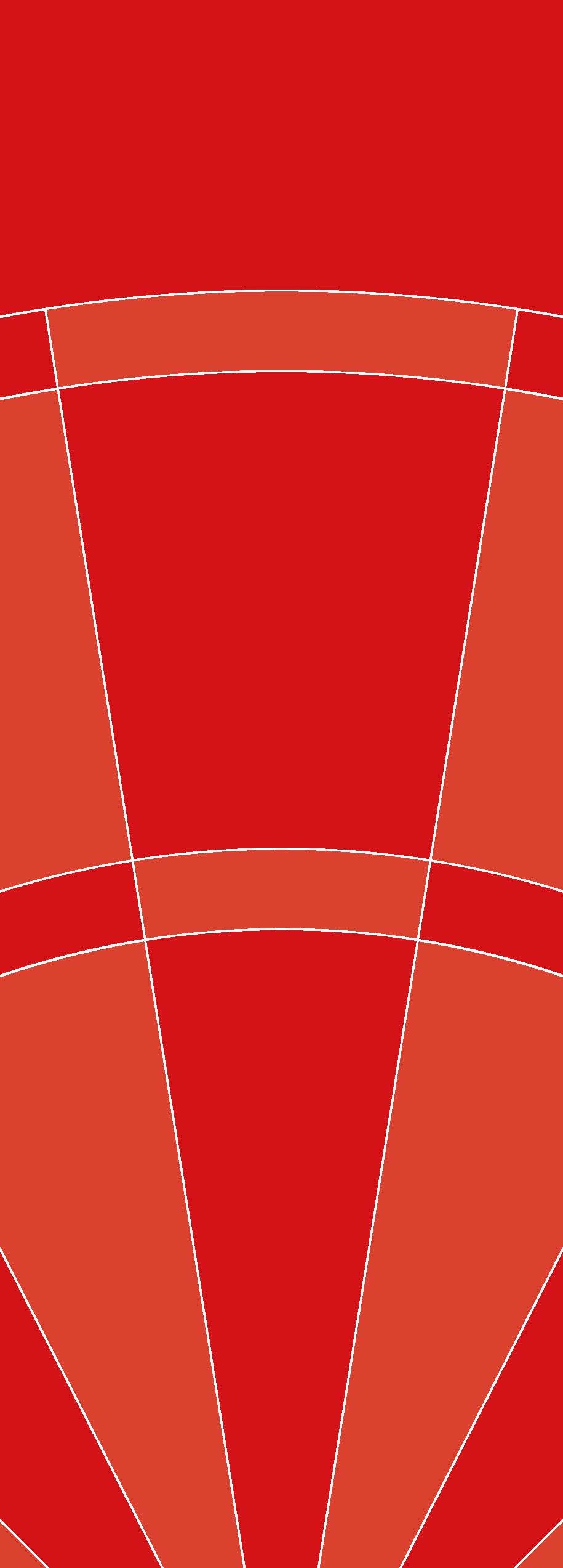 Wandtapete Dart rot - Breite 100 cm x Höhe 280 cm - Motiv: Dartboard