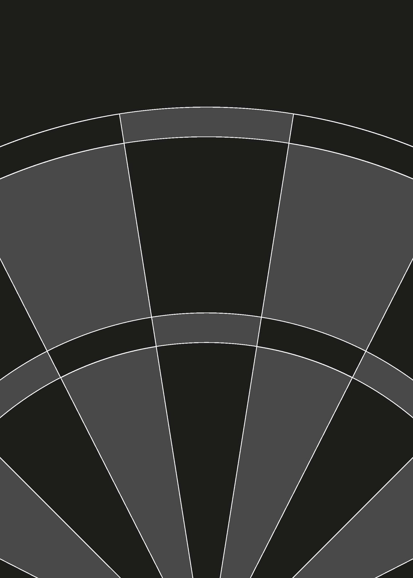 Wandtapete Dart schwarz - Breite 200 cm x Höhe 280 cm - Motiv: Dartboard