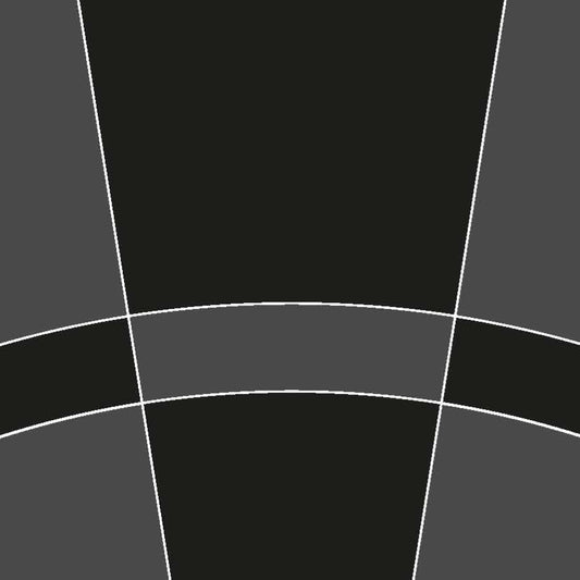 Wandtapete Dart schwarz - Breite 100 cm x Höhe 280 cm - Motiv: Dartboard