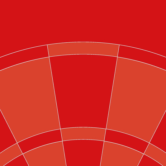 Wandtapete Dart rot - Breite 200 cm x Höhe 280 cm - Motiv: Dartboard