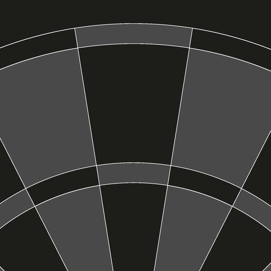 Wandtapete Dart schwarz - Breite 200 cm x Höhe 280 cm - Motiv: Dartboard